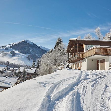 Chalet Lodge Hubertus Σάαλμπαχ-Χίντεργκλεμ Εξωτερικό φωτογραφία